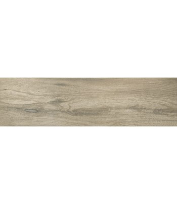 GRANITO PAV WAND OLMO 18X62...