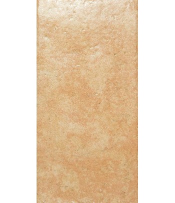 GRANITO PAV TAVELLA 5 BEIGE...