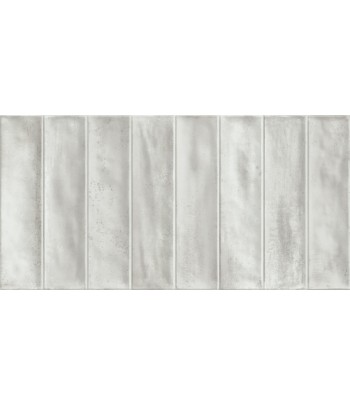 DADO RIV LIVING WHITE 31X62...